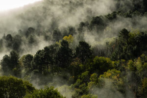 fibois day 2025 fabrice jurquet 01